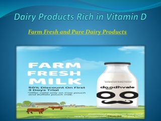 Buy Quality Dairy Products at the Best Price in Delhi NCR