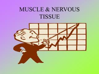 MUSCLE &amp; NERVOUS TISSUE