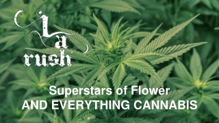 Weed Delivery Porter Ranch - LA Rush