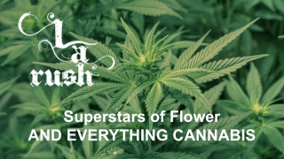 Weed Delivery Porter Ranch - LA Rush