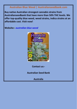 Australian Blue Weed | Australianseedbank.com