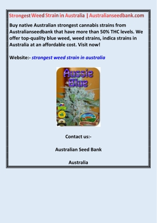 Strongest Weed Strain in Australia | Australianseedbank.com