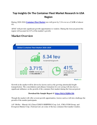 Top Insights On The Container Fleet Market Research In USA Region