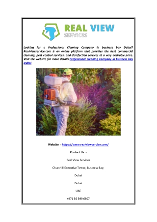 Professional Cleaning Company In Business Bay Dubai | Realviewservice.com