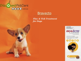 Buy Bravecto Spot-On Flea and Tick Treatment For Dogs Online - DiscountPetCare