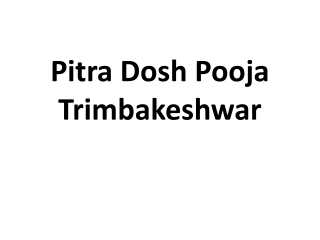 Pitra Dosh Pooja Trimbakeshwar