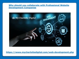 Why Should you Collaborate With Professional Website Development Companies