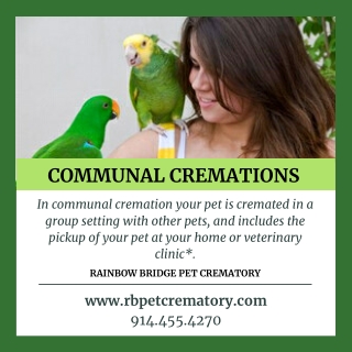 Communal Cremation Service - Pet Crematory