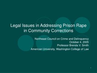 Legal Issues in Addressing Prison Rape in Community Corrections