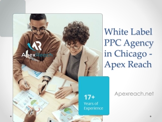 White Label PPC Agency in Chicago - Apex Reach