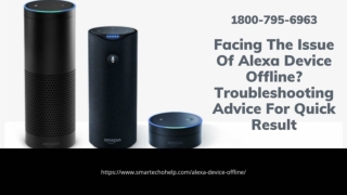 Facing Alexa Device Offline | Echo Dot Offline 1-8007956963 Alexa App Helpline