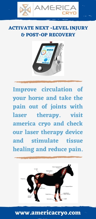 Laser Therapy