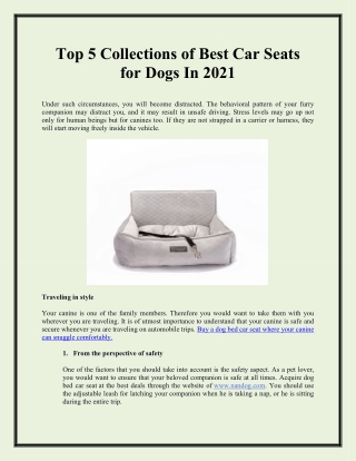 Top 5 Collections of Best Car Seats for Dogs In 2021