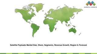 Satellite Payloads Market Size, Share, Segments, Revenue Growth, Region & Forecast