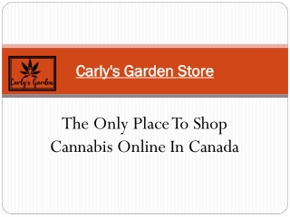 Shop Cannabis Products Online In Canada - Carly's Garden