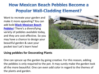 How Mexican Beach Pebbles Become a Popular Wall-Cladding Element?