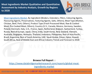 Meat Ingredients Market Qualitative and Quantitative Assessment by Industry Analysis, Growth by Regions to 2028