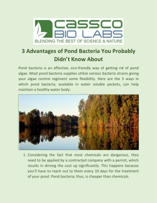 3 Advantages of Pond Bacteria You Probably Didn’t Know About