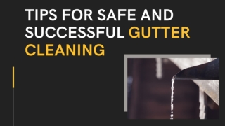 Tips For Safe And Successful Gutter Cleaning