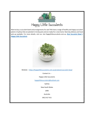 Best Succulent Bowl | Happy Little Succulents