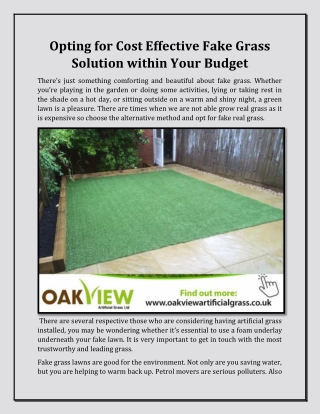 Opting for Cost Effective Fake Grass Solution within Your Budget