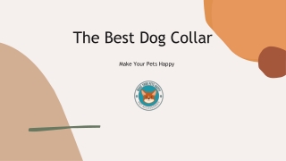 The Best Dog Collar