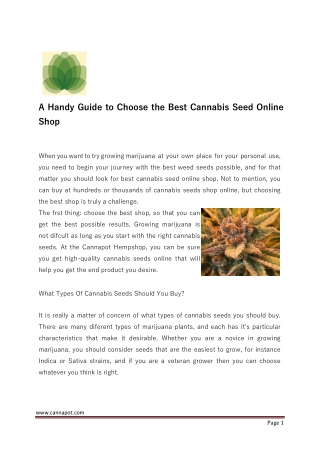A Handy Guide to Choose the Best Cannabis Seed Online Shop