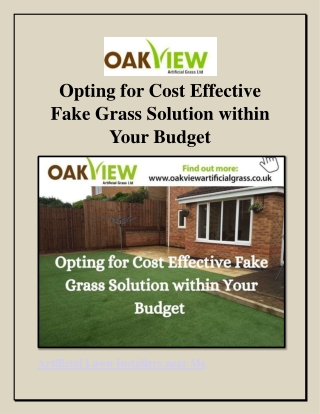 Opting for Cost Effective Fake Grass Solution within Your Budget