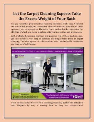 Let the Carpet Cleaning Experts Take the Excess Weight of Your Back