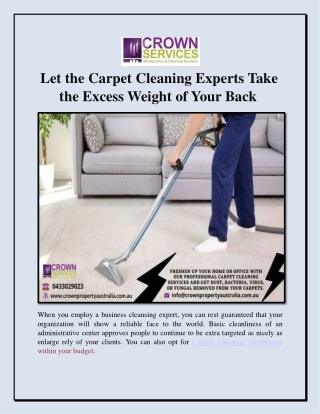 Let the Carpet Cleaning Experts Take the Excess Weight of Your Back