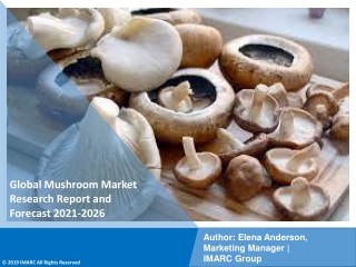 PDF- Mushroom Market: Research Report, Share, Size, Trends and Forecast by 2021-2026