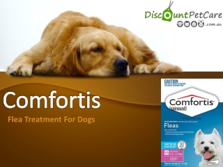 Comfortis Chewable Flea & Tick Tablets For Dogs Online - DiscountPetCare