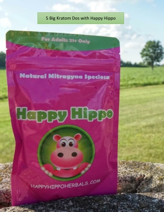 5 Big Kratom Dos with Happy Hippo