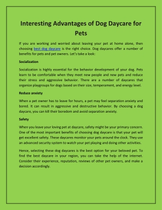 Interesting Advantages of Dog Daycare for Pets