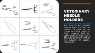 Veterinary Needle Holders