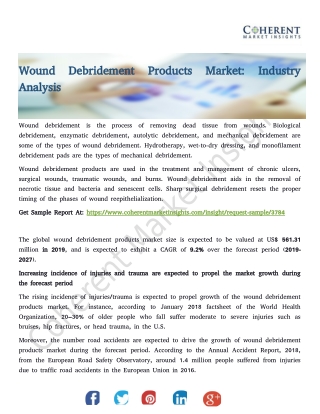 Wound Debridement Products Market: Industry Analysis