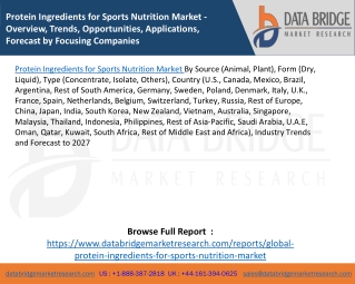 Protein Ingredients for Sports Nutrition Market - Overview, Trends, Opportunities, Applications, Forecast by Focusing Co