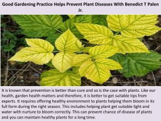 Good Gardening Practice Helps Prevent Plant Diseases With Benedict T Palen Jr.