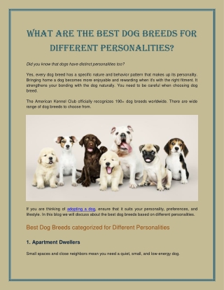 What Are The Best Dog Breeds For Different Personalities?