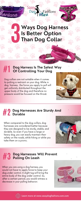 3 Ways Dog Harness Is Better Option Than Dog Collar