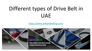Different types of Drive Belt in UAE