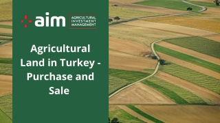 Agricultural Land in Turkey - Purchase and Sale
