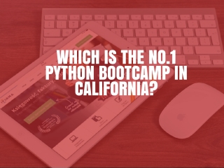 No.1 Python Bootcamp in California