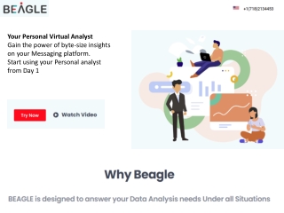 Business Intelligence And Analytics Platforms - Beagle