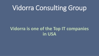 Vidorra is one of the Top IT companies in USA Texas