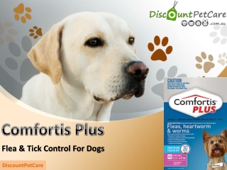Comfortis Plus Flea Control Tablets for Dogs Online - DiscountPetCare