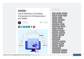 Top 8 Software Consulting Companies for Entrepreneurs and SMEs