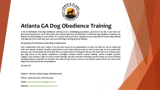 Atlanta GA Dog Obedience Training