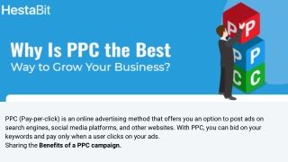 Why Is PPC the Best Way to Grow Your Business?