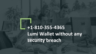 1-810-355-4365 Lumi Wallet without any security breach